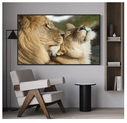 Quadro de Animais