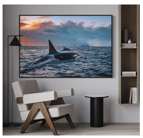 Quadro de Animais