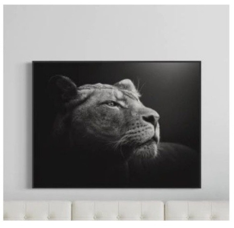 Quadro de Animais