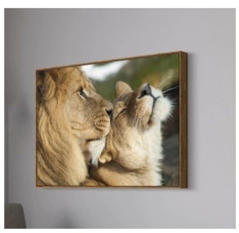 Quadro de Animais