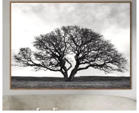 Paisagem